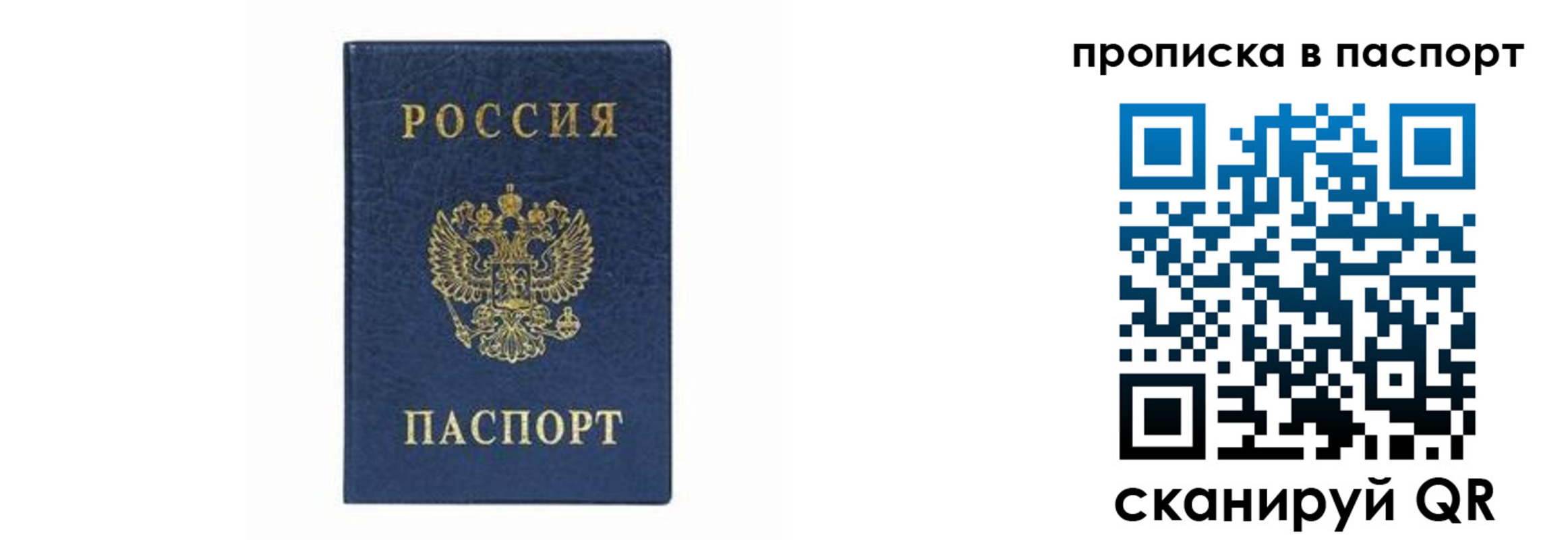 прописка в квартире в Владивостоке